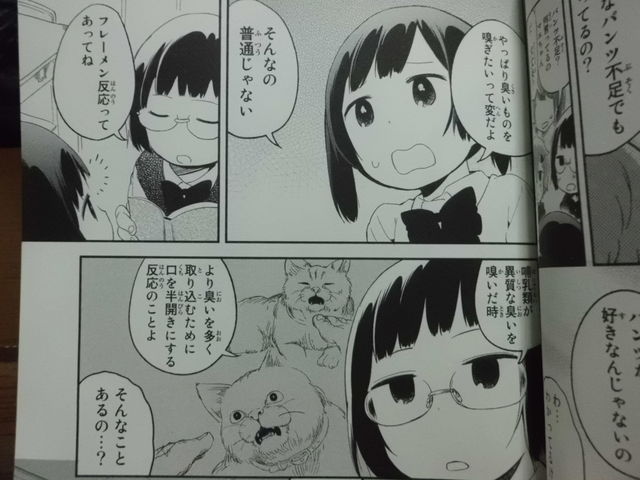 男三女四 魔法陣グルグル2 に共通するものは 近代麻雀漫画生活 男三女四 魔法陣グルグル2 に共通するものは 近代麻雀漫画生活