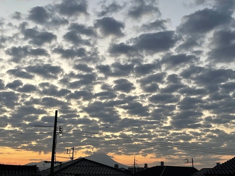 D8BRnu-USpqWBDcdAjuV9A (1)