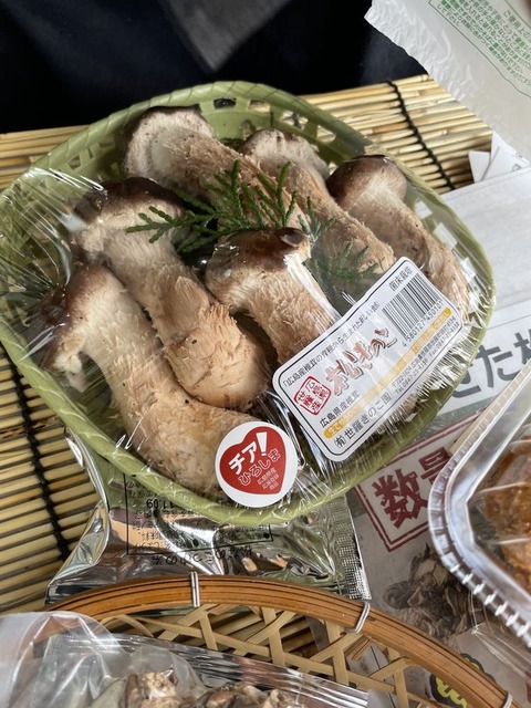 9kWEDLtYSzG8x8Siine-Kg