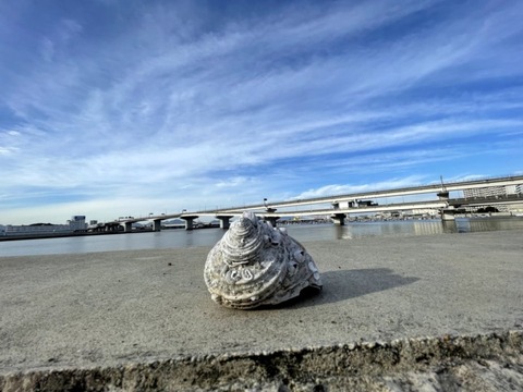 gl8JaluGRh23E0QxBCm1Eg