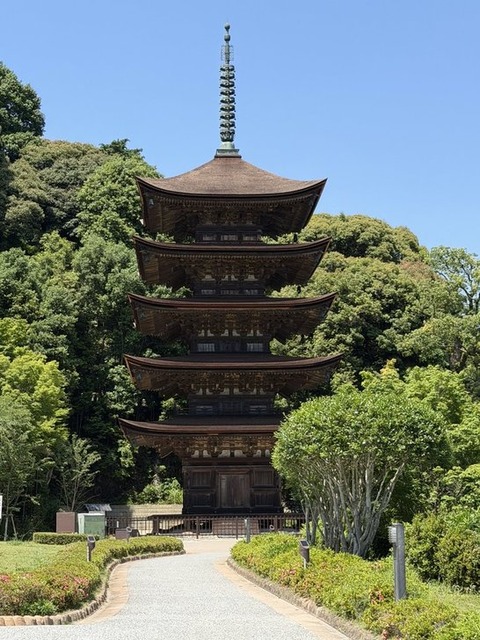 エントリ画像