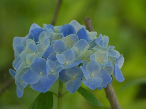 ygJE12bXTXmgEL_NbVYZKQ