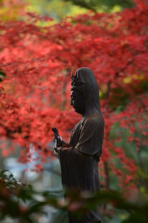 hBN7ltJdR0-fje5AO9rgWA