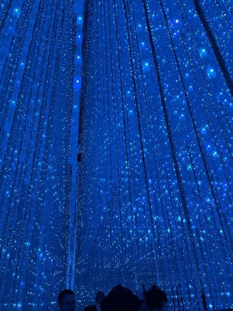 oFw-3SA7Tz6b-xe8wyLu1A