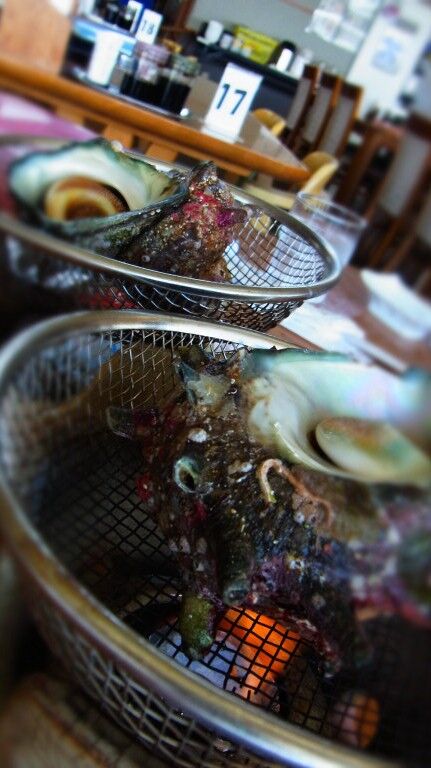 R0051424_2 R0051424_2