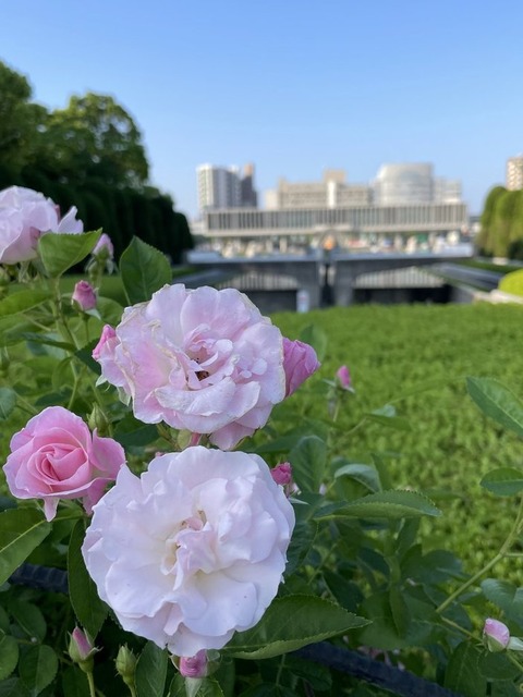 KHriDFzwSQynsdshhV3x8Q