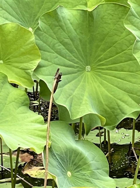 MTlHKHLESzuR_3FeKCXo-A