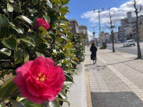 3suqx464Q2ia116wxtR6pw