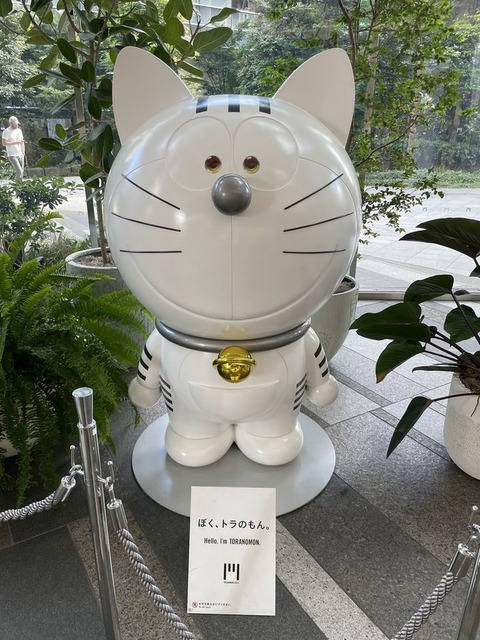 5rmNAPsaQyeeMERubcr_vA