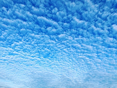 gXr0a60nSN-hly4KKfOSsg (1)