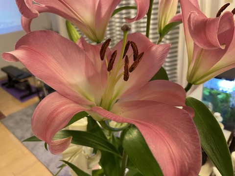 69vqFu0cQoaAzFVI1rJ_ow