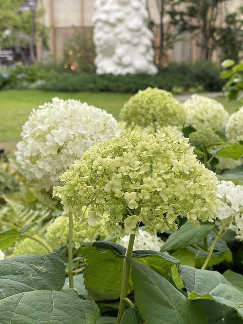 0IjoqW4VSAmjnbOf5wPi9g