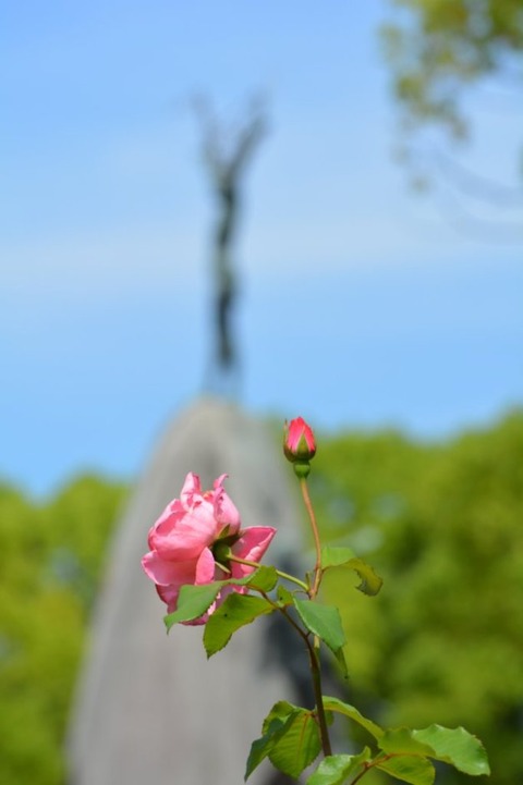 oy0xrS2oRyy-ZrXwtTRc-Q