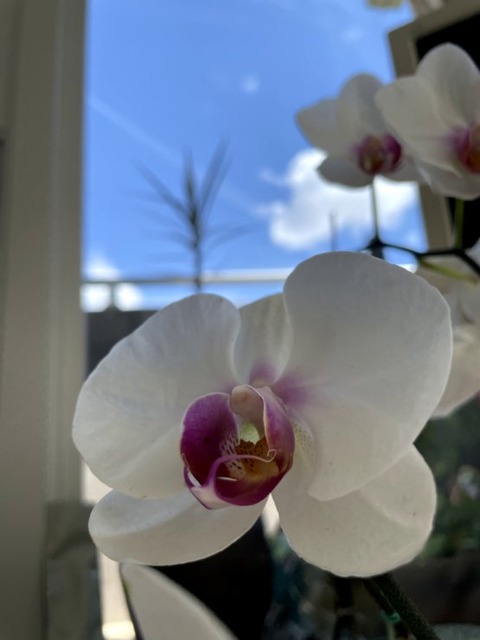 p1SKM28WTVqZ9ug4qqVeFA