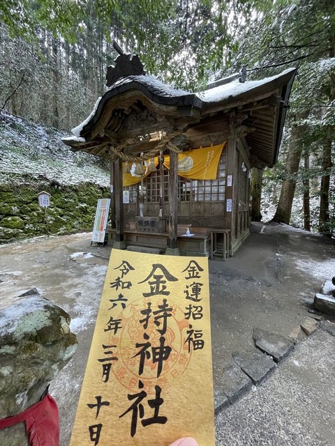 8w6V9Qs9SAijmDepGTxa3w