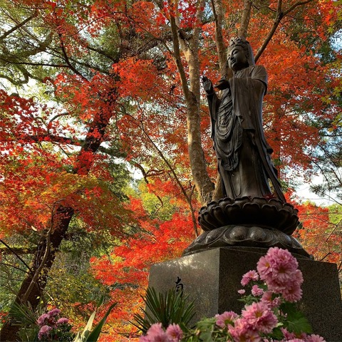 0161B786-369B-4ABA-A1DA-CB018D86650C