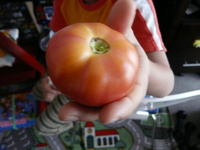 6f6c2979.jpg