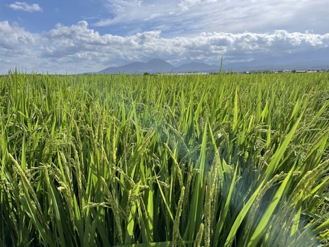 C39xDS1oT6qxwkYFY6dewQ (1)