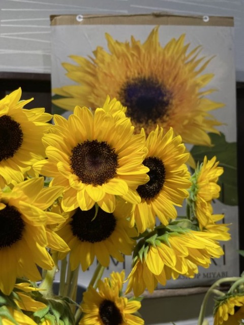 ZUFtR6PQTnC18WgnOcvDBg