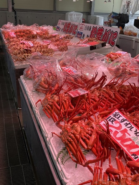 pC-cN_6kROqn9wveKcJAwQ