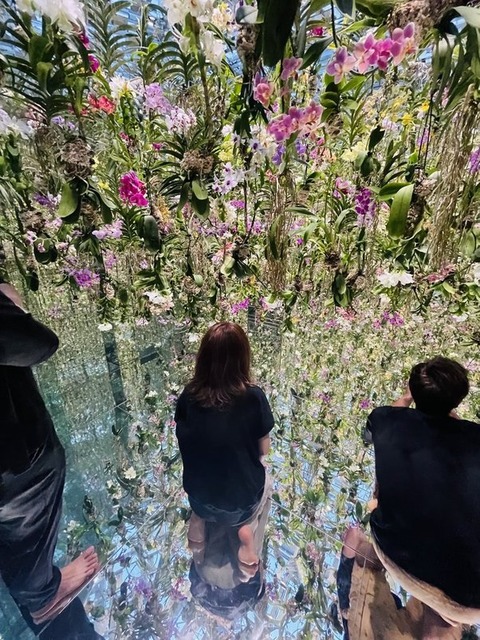 ZAbAlLIUTwKc5oZIJx3sEg