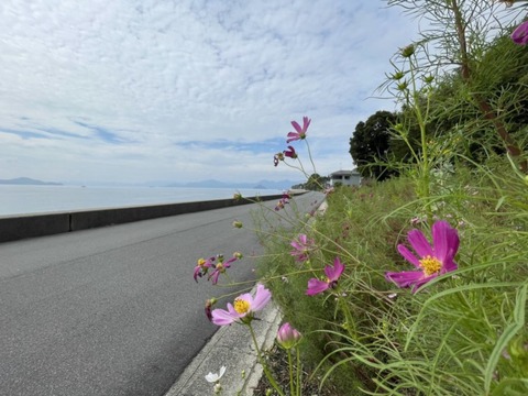 bg3jbITcREKBrenUHyd4VA