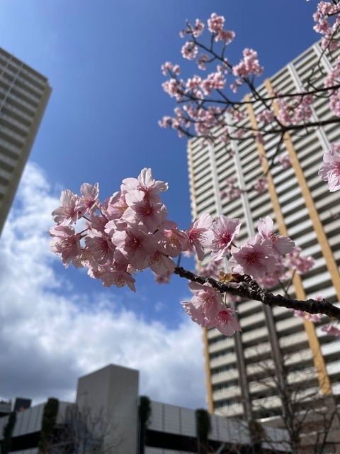 x2T2cmJsQC2ap4qrMs9Vkw