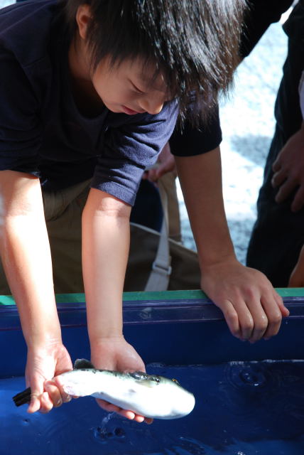 Dsc_417513597 Dsc_417513597