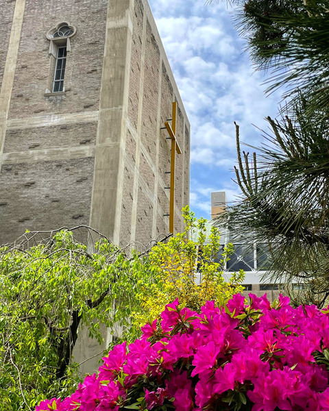 C99430CA-5CEE-4ACF-A7EC-C1F697936CD4 (1)