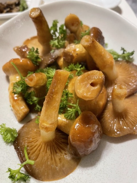 SgSYPRMKTwW5r7sNJfj9Vw