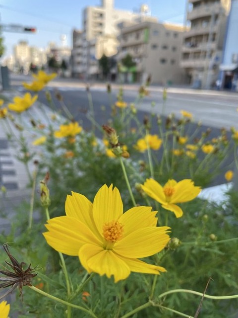 nQV_HUopTbuobF8qtYW1cA