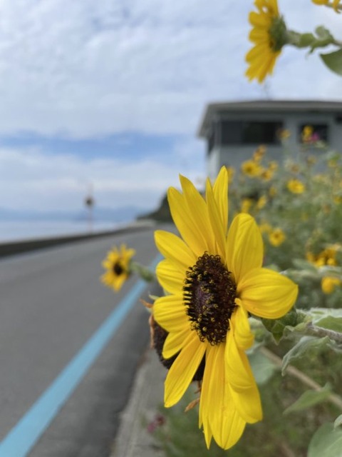 t3tlEYFZQ4qGqw4-Qbuyvg