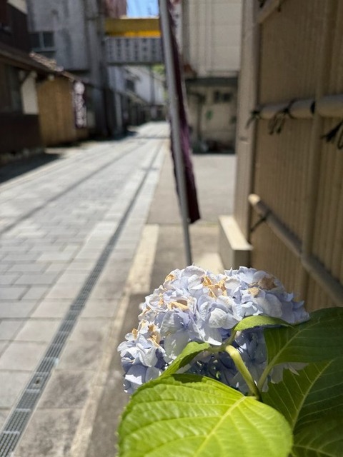 エントリ画像