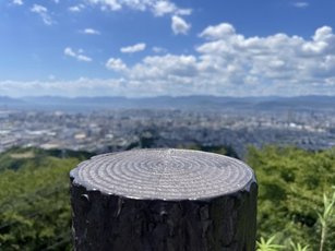 onaByl9RQAOPBwc3fRkblw