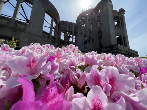 IIm1moXcRYiHbrd28jbDsw