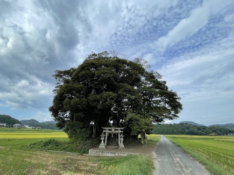 70uTBA9lSaO0aC2QAzN0EA (1)