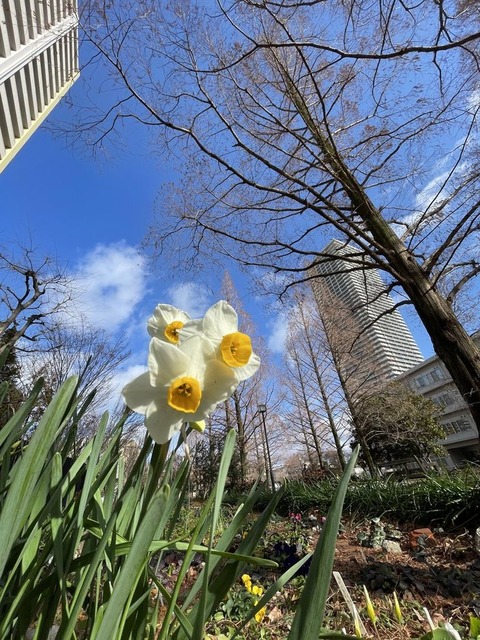 Ftt6rehXR1uy1uOZeprffg