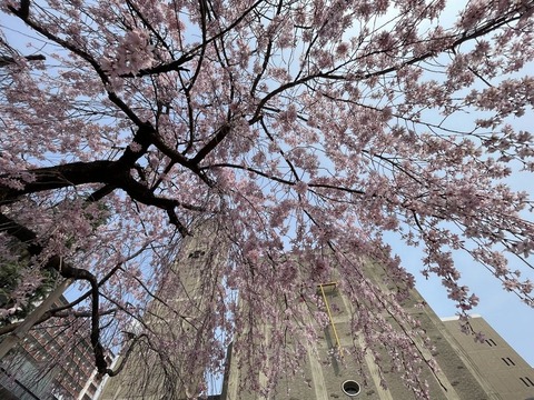 YdCfyH_FQLySeCQwY96B8w