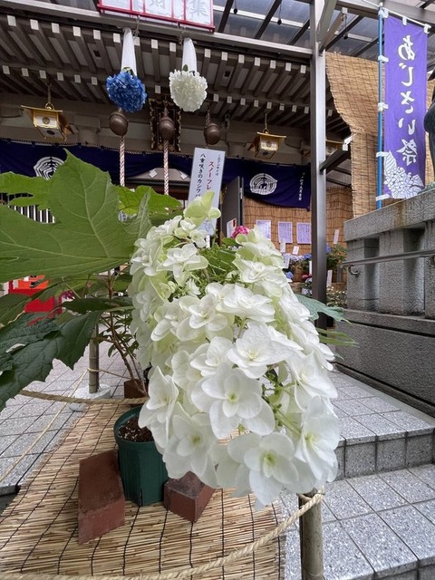 n38dNK7MQvGYdPRXTbrSlA - コピー (6)