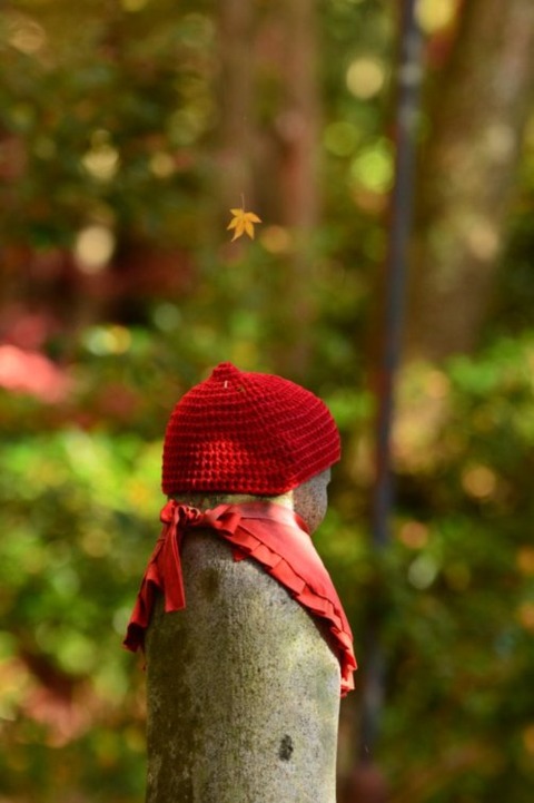 _SBDW498TiiFbJe3LYrKDA