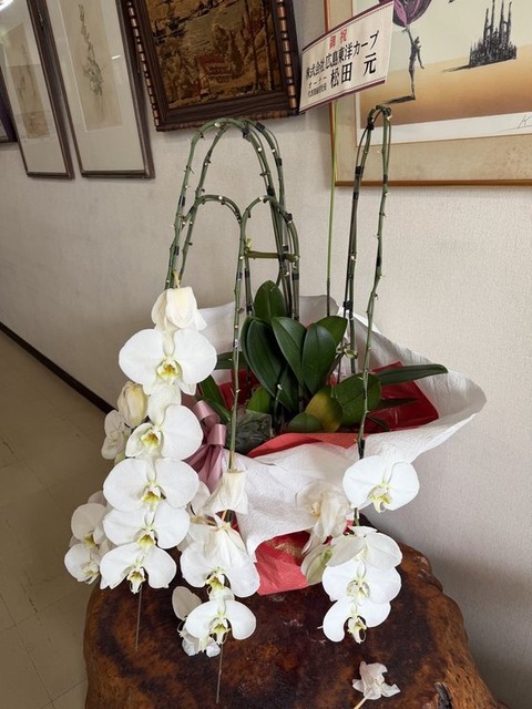 エントリ画像