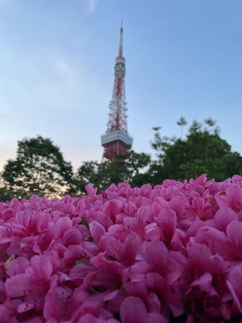 0IjoqW4VSAmjnbOf5wPi9g