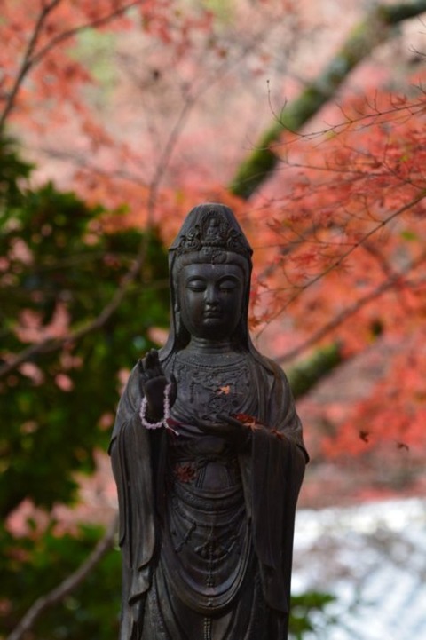 CKLZo8kVT3usYh-fjU7H2Q