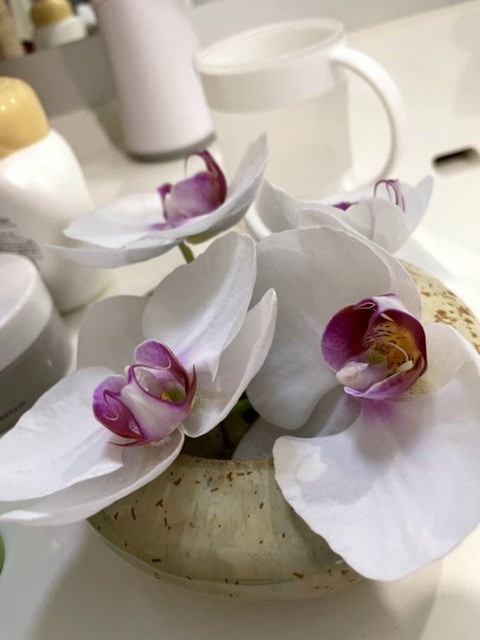 60YXGC1iQLSTavF1qtJB5A (1)