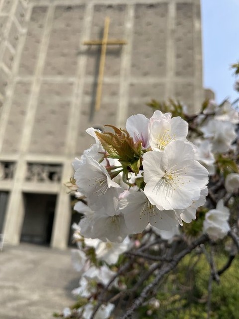 haJrBan_Rdyej05QkNn6qA