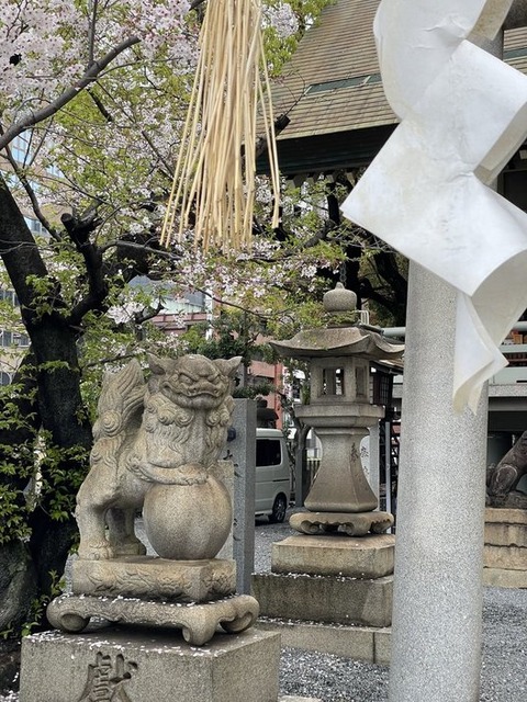 iiXo_wcyQDypfzOBYASNfA