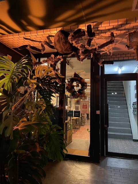 tiATxHfLRBedKeUInKnrsA