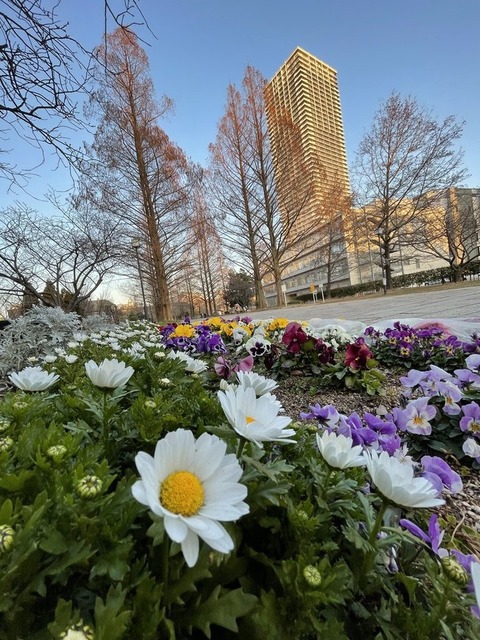 1TJseHCdRq-aMb67GGDiQg