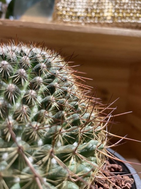 EXSPKh-XTQumxw222SRpXg