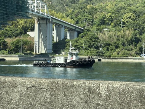 エントリ画像